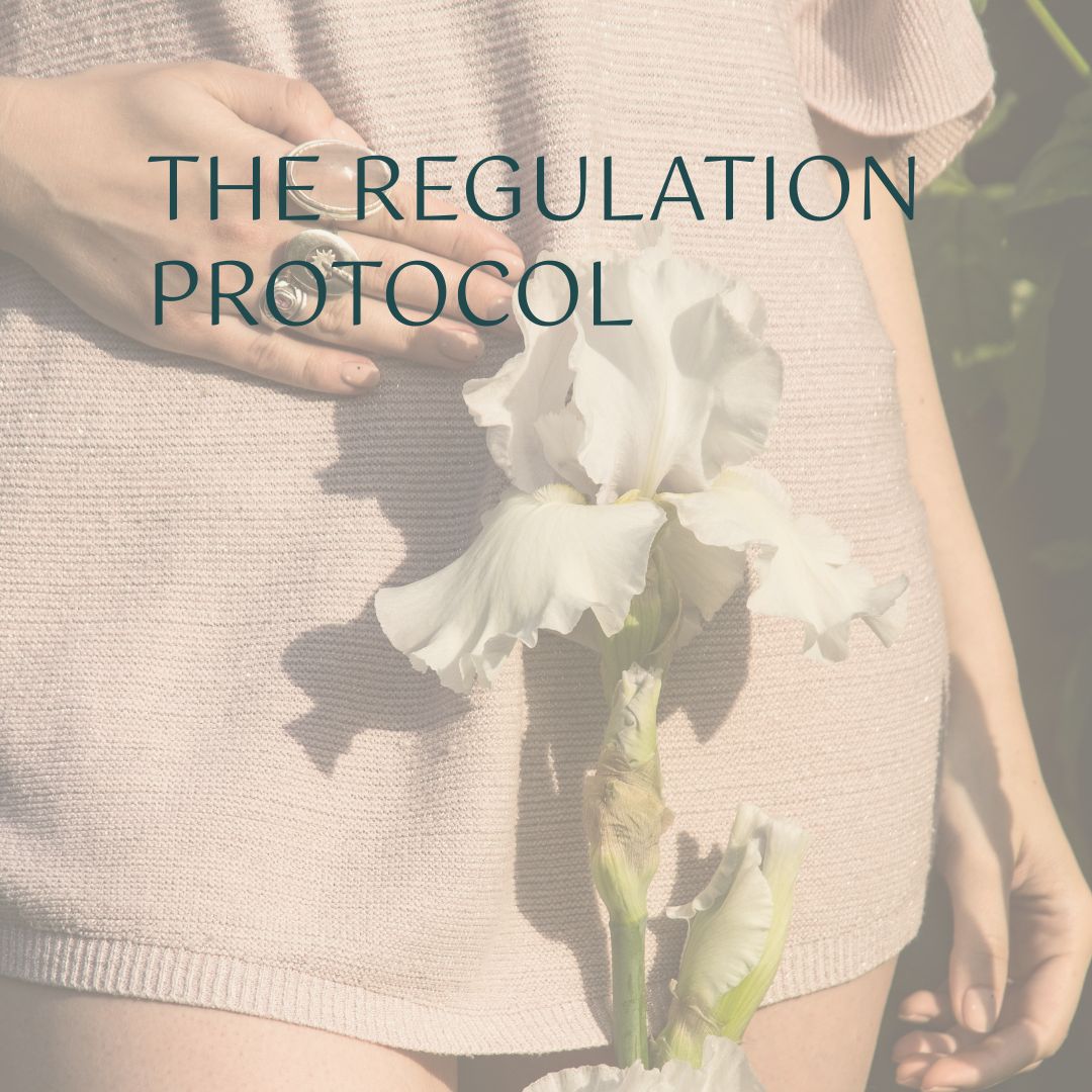The Regulation Protocol