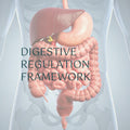 Digestive Regulation Framework