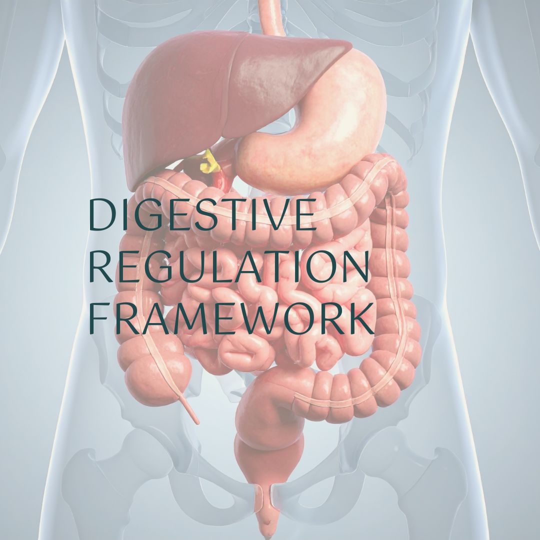 Digestive Regulation Framework